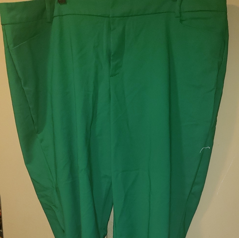 Eloquii gently worn work pants size 22l